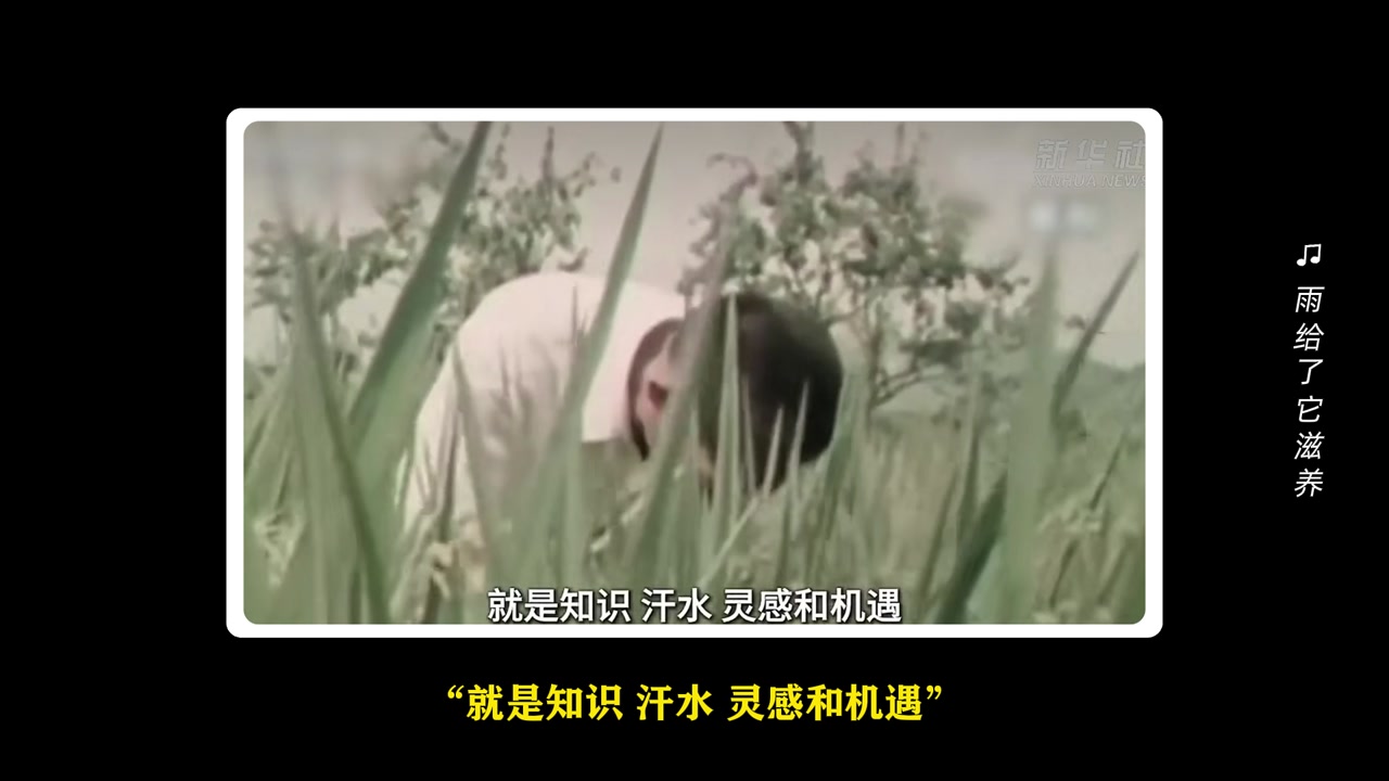袁隆平回顾视频
